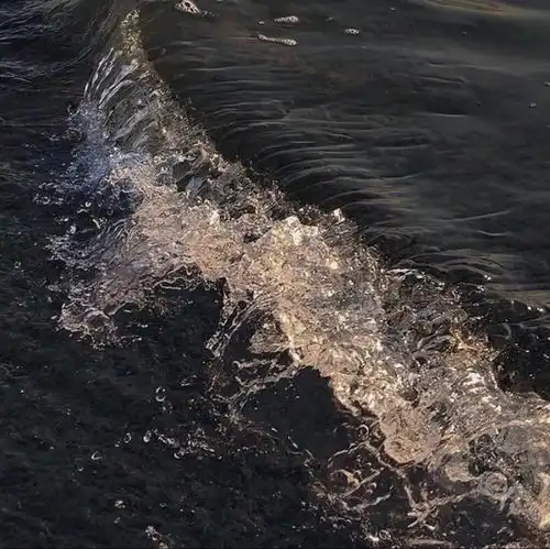 微丧系背景图不再等待