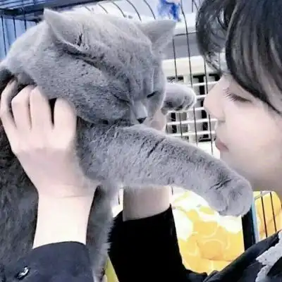 唯美真人情头头像算了,单身的情侣头像我要个性网