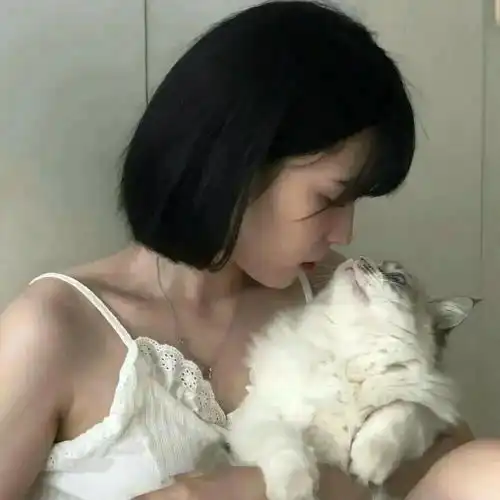 头像图片丨女生头像丨可爱的猫系女头1214