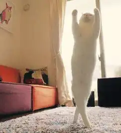 今夜不眠夜对这条微博许个新年愿望吧,说不定有人会