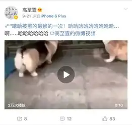 你现在的理想型,和10年前的还一样吗反正我不一样了搜狐娱乐搜狐网