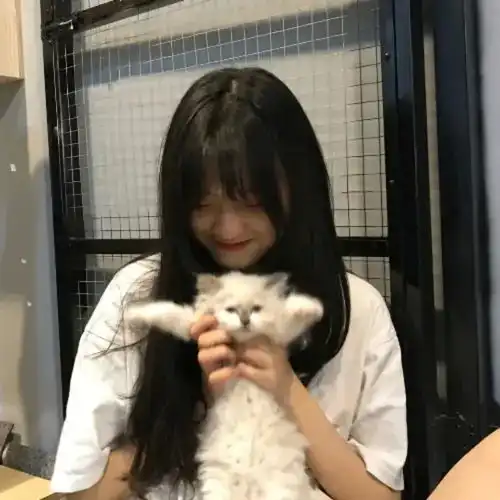 猫系女头动漫头像