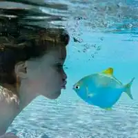 阿鱼探长主播电台网易云音乐