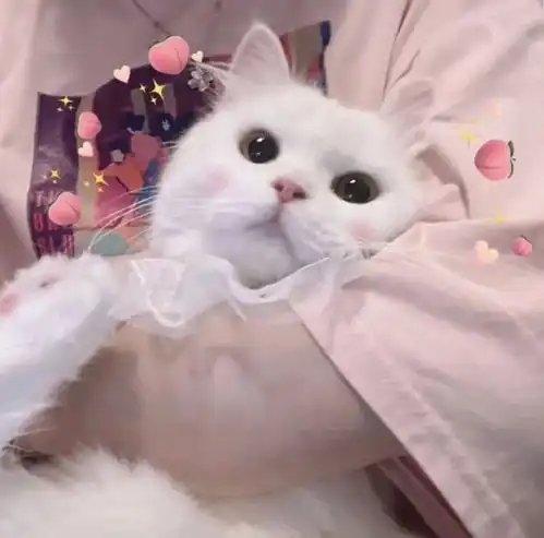 0610抖音头像今天最火头像