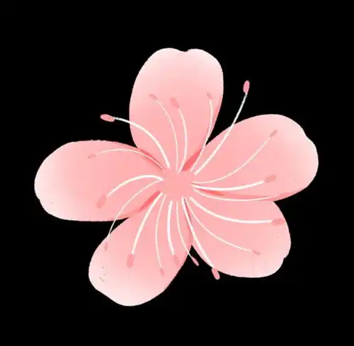 当你在武汉看樱花的时候,看到了什么