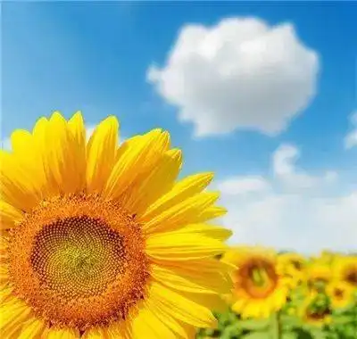 看医界的个人展示页