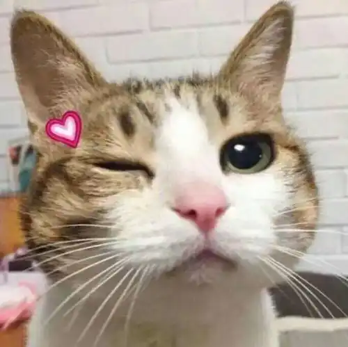 宣讲会东华大学学生会,你还不来吗