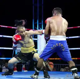 高清图熊朝忠tko印尼拳手出拳凶悍无所畏惧6957912