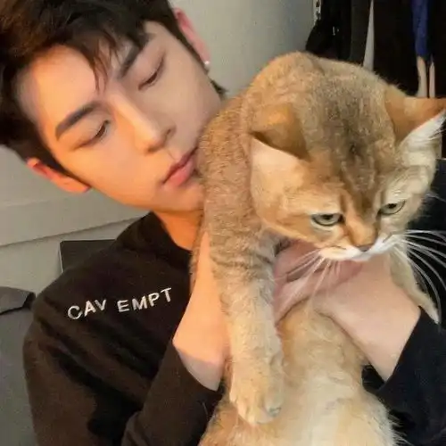 猫系女友喜欢什么样的男