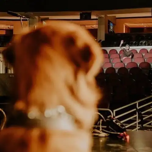 值得细细品尝的情侣头像