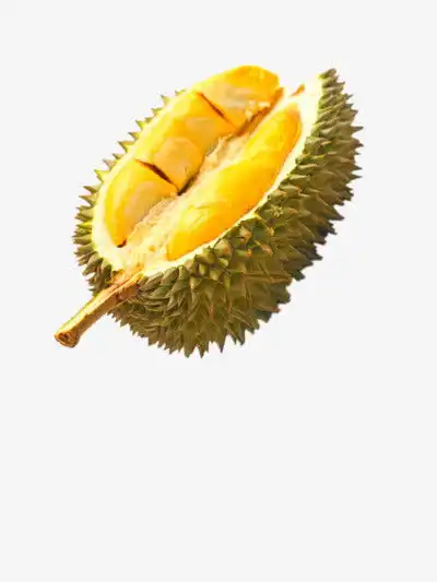 榴莲免抠素材png素材素材