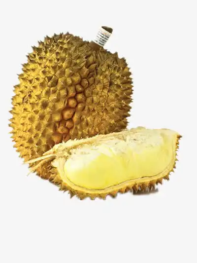 榴莲免抠素材png素材素材