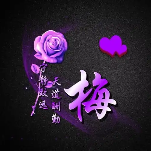 紫色玫瑰头像图片大全