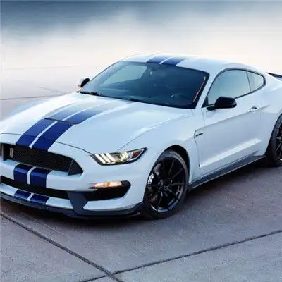 福特野马头像,2019最新福特野马汽车的图片