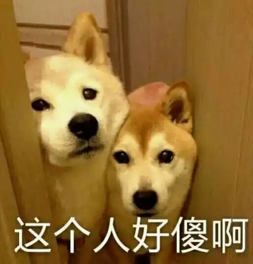 养狗之后才明白的道理,第四个是真的扎心