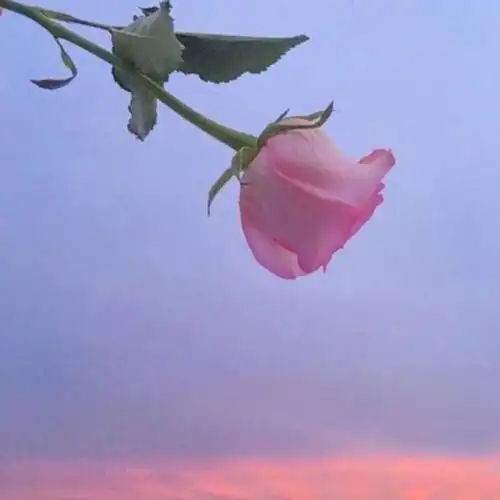 只有奔着结婚去的情侣,才具备这3个特质