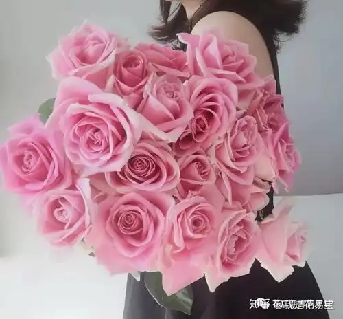 最全粉色系玫瑰攻略,七夕情人节用粉色俘获你的少女心