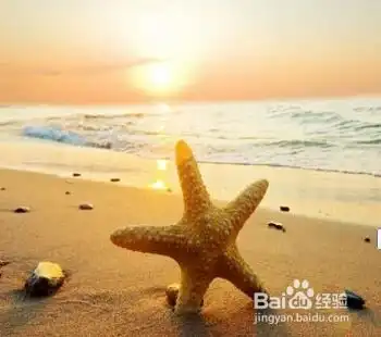 产假后女性找工作