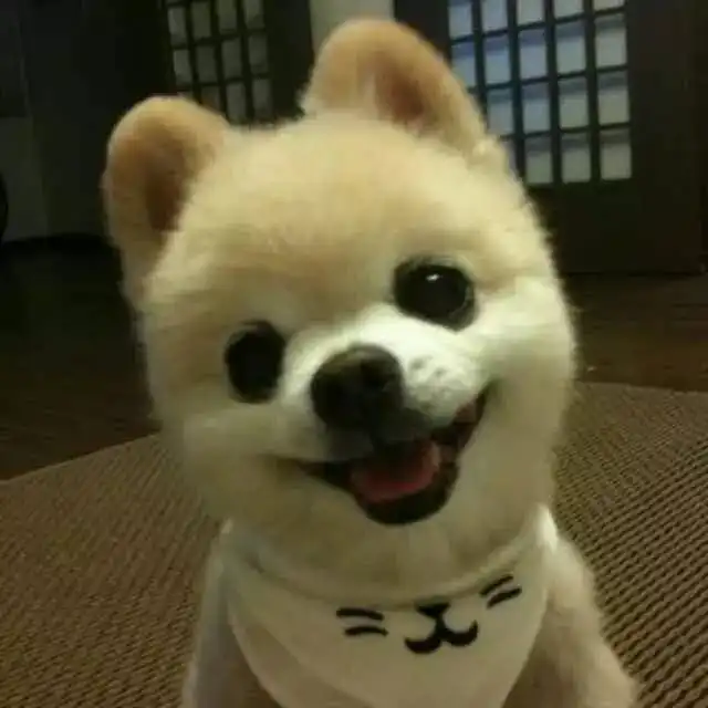 无业大叔竟同时与15名女大学生谈恋爱还有人为他堕胎这长相吴彦祖都看哭了