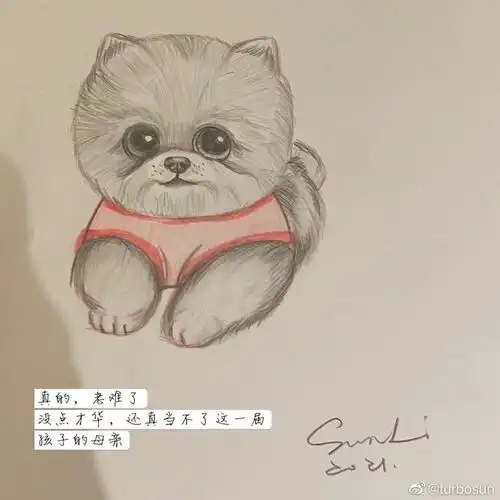 孙俪分享一周琐碎日常,做菜看书泡茶录歌,网友把生活过成了诗