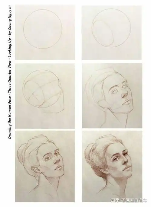 用数学的方法教你画人物头像,新手也能画的超好