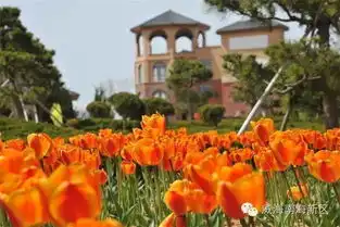 沙雕音乐美食温泉五一假期,南海让你high翻天