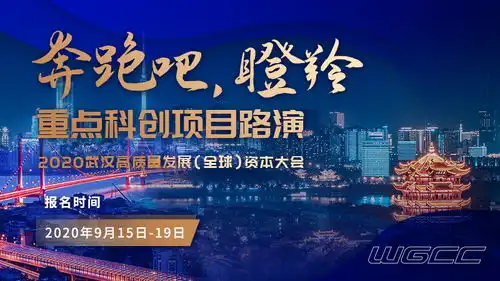 武汉全球资本大会重点科创项目路演招聘开始