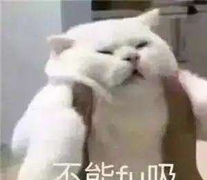 刘心悠跟小孩的恋爱故事,雾草,真是磕死我了