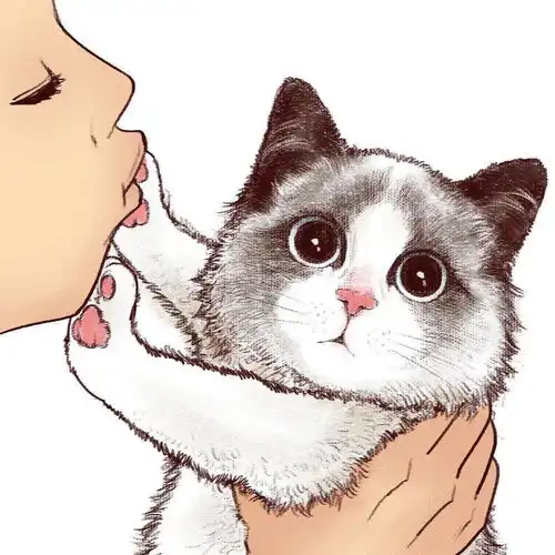 手绘治愈系插画男生头像