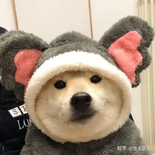 搞笑句子大全笑死人