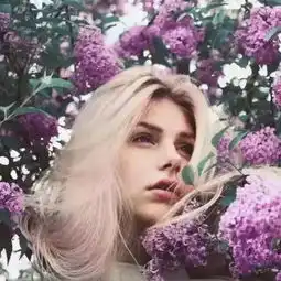 龙龙落叶随风收藏会员列表