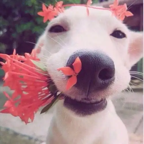 头像女生永远不要太过恋爱脑
