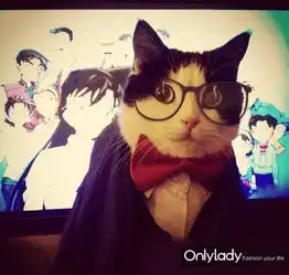 已经被玩坏史上最强喵星人coser登场