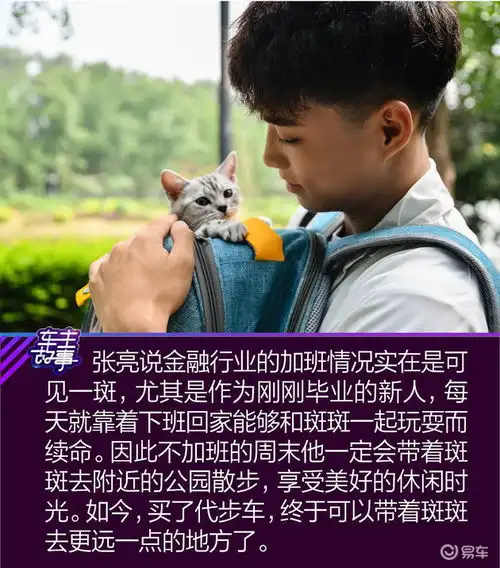猫系青年的欧拉白猫深度吸猫指南