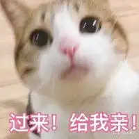 猫咪撒娇表情包微信头像图片大全