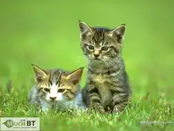 十二款世界顶级杀毒软件下载