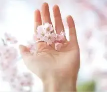 樱花下的男孩卡通头像微信头像图片大全