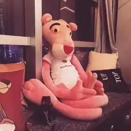 同类照片同类相册大全yy官方