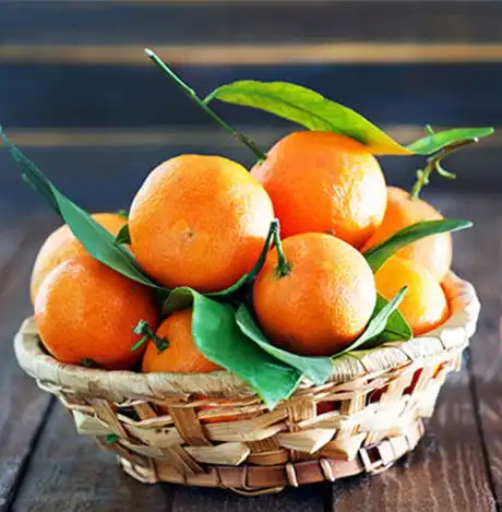 水果干茶的功效与禁忌