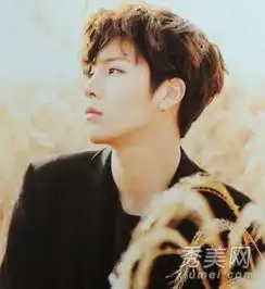 男士短发发型设计烫染结合塑完美头型