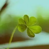 闺蜜头像绿色微信头像图片大全