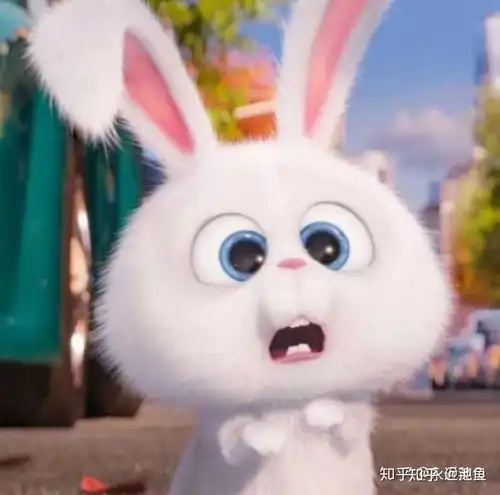 兔子图片卡通头像搞笑疯