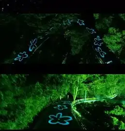 在这条太阳能发光绿道,踏上梵高的璀璨星河