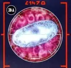 星球大战宇宙的完整历史