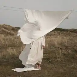 宝藏,大雁啄入麦荡