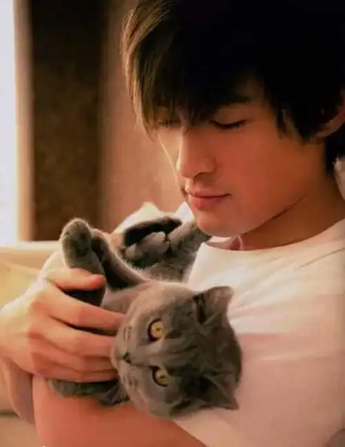 猫系头像双人胡歌