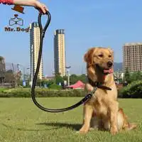 小女孩牵动物情侣头像微信头像图片大全