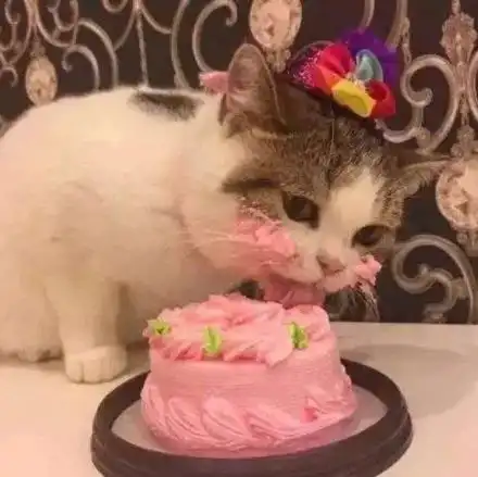 同框无交流微博还屏蔽,井柏然和倪妮这是情侣合约到期了