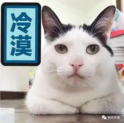 涨知识全篇都是知识点