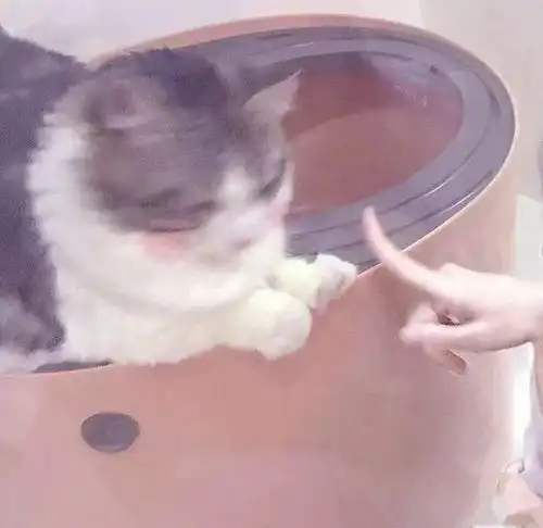 情头哪个瞬间你觉得要好好的爱自己